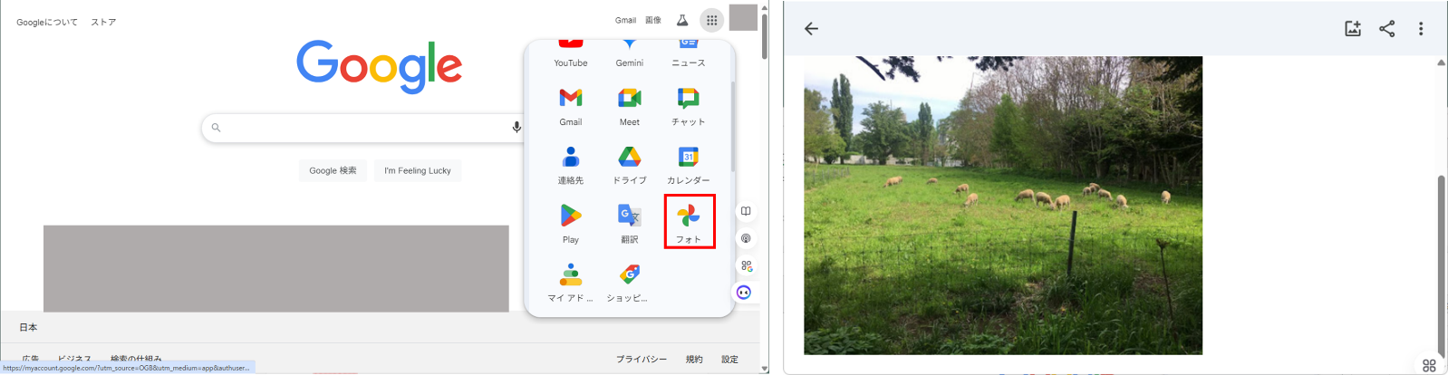 GoogleフォトでHEICをJPEGに変換する