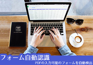 このPDF、どこが入力OKか？PDFのフォームを簡単に認識、検出するには？