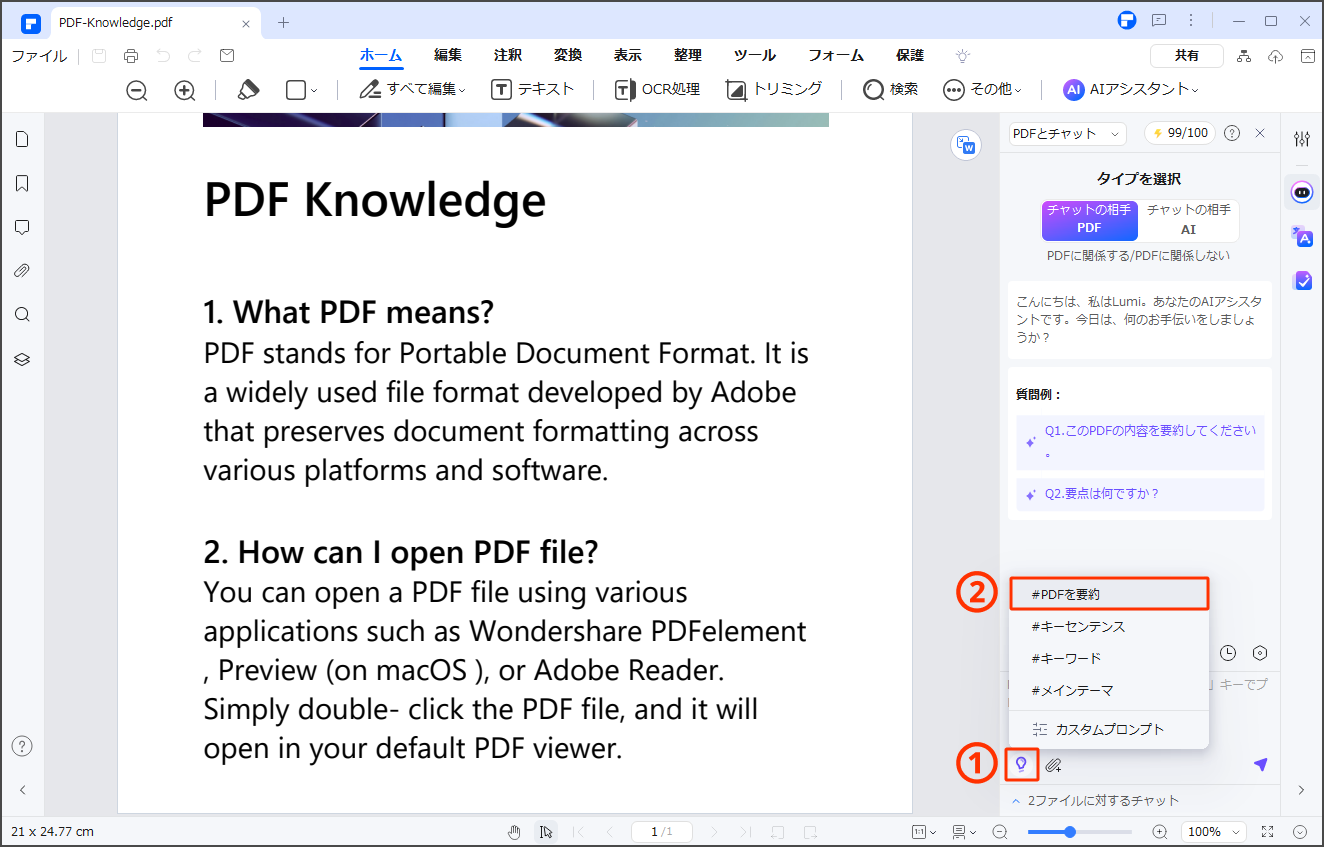 複数の PDF を要約する