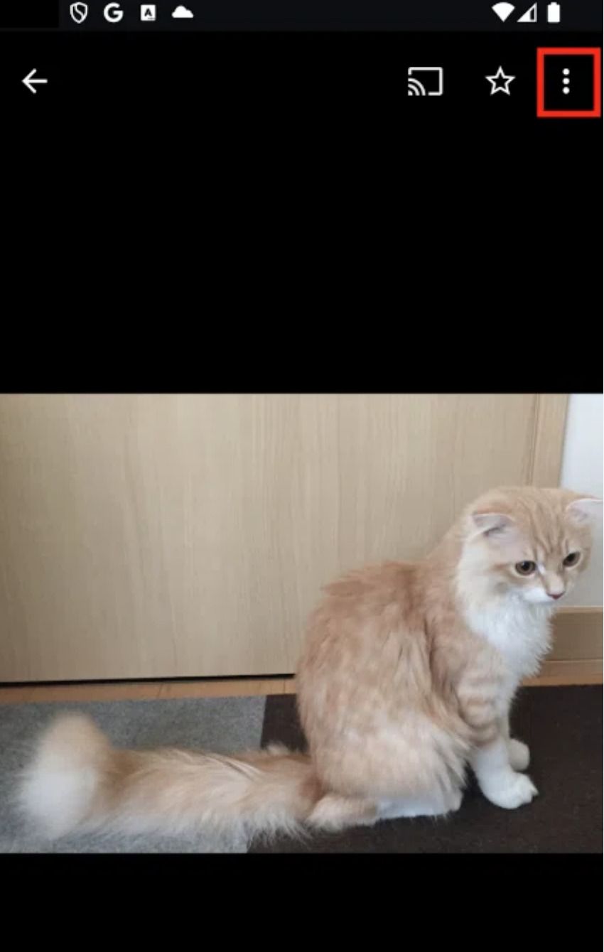 Googleフォトからで画像をPDFに変換する方法