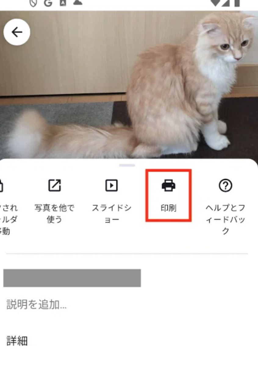 GoogleフォトでPDFに変換したい写真を「印刷」