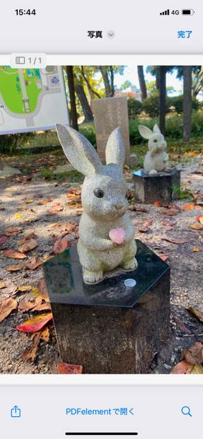 プレビュー画像をピンチアウト(拡大)すると、PDFが表示される