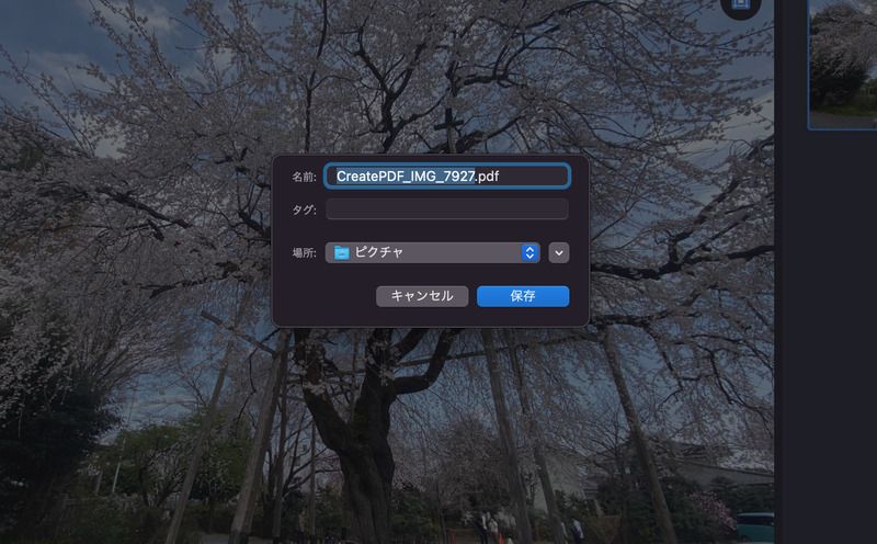 右上の保存ボタンを押すと、写真をPDFファイルとして保存可能