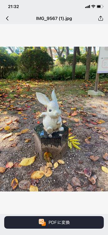 「PDFに変換」をタップすると、写真をPDF化できる