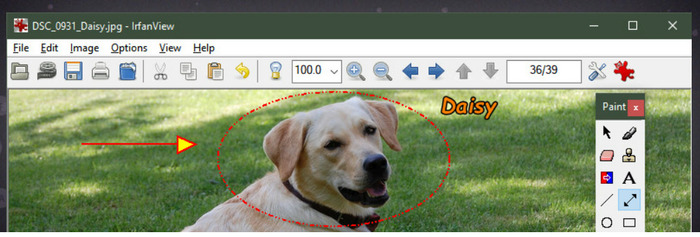 pdfをjpegに変換できるふIrfanView