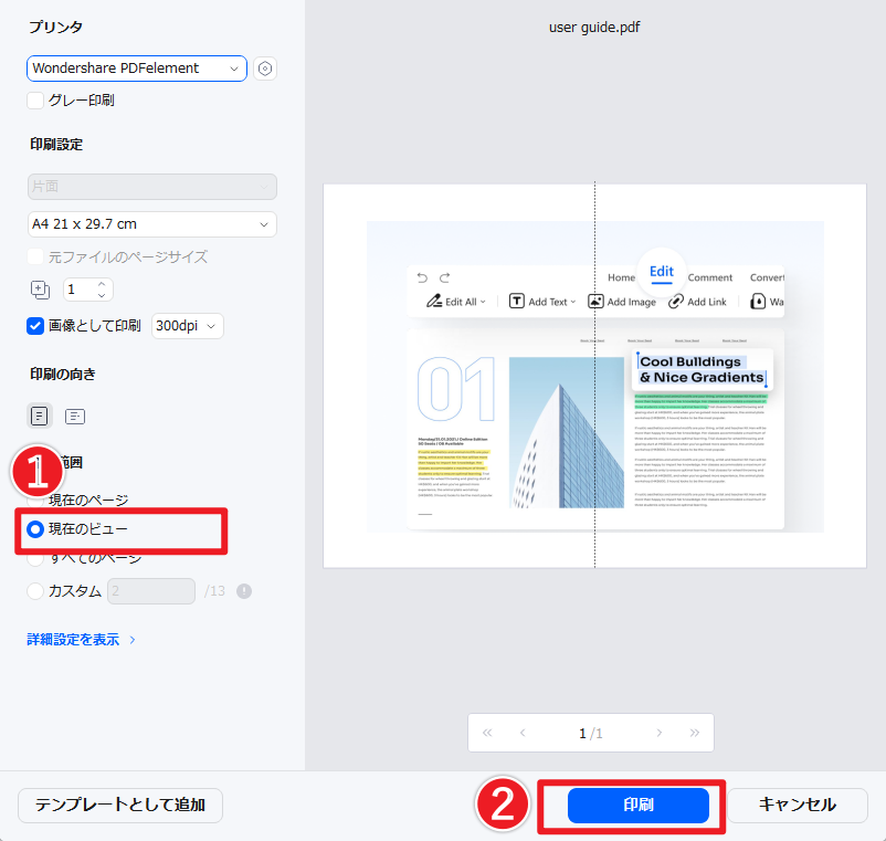 現在のビューを印刷する