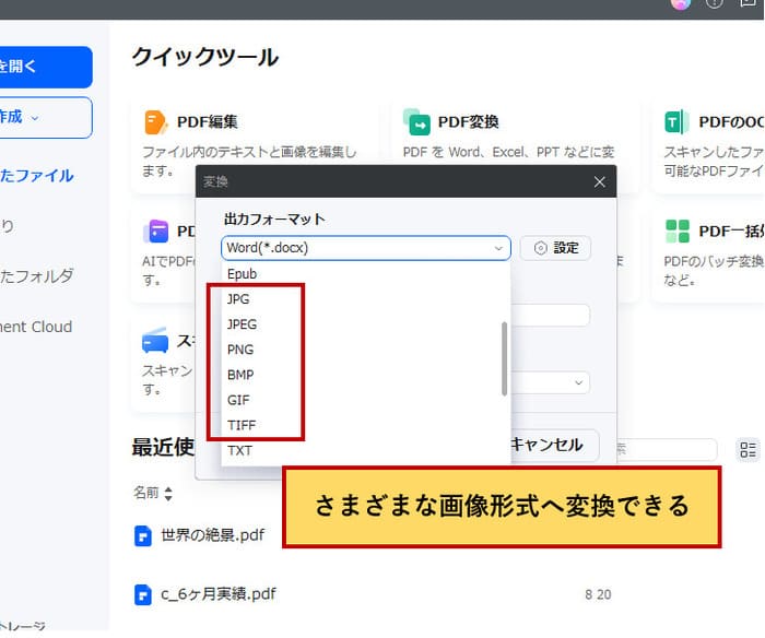 PDF画像変換の形式設定