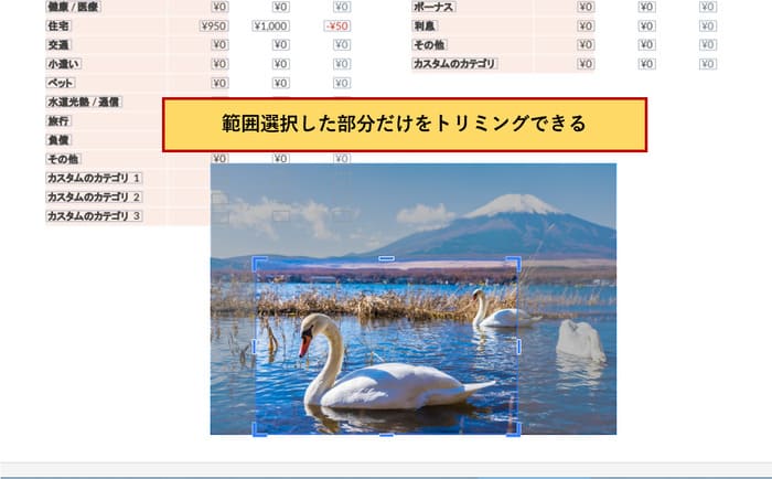 PDF画像トリミング編集の調整