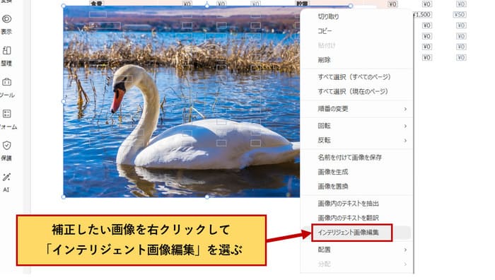 PDF画像の高度な編集