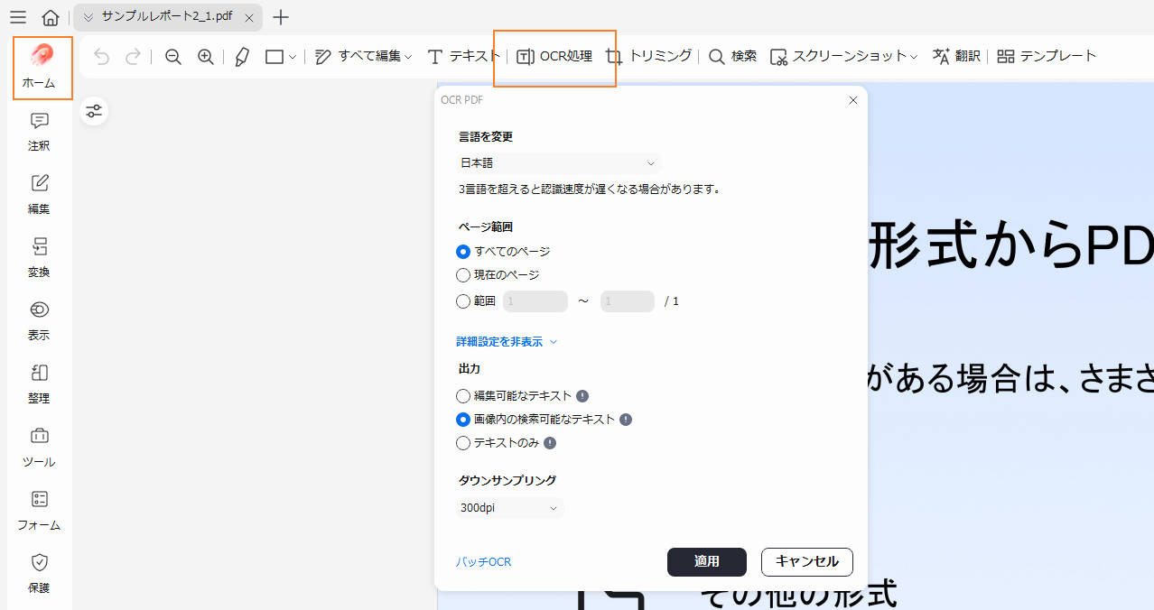 pdf文字起こしの詳細設定