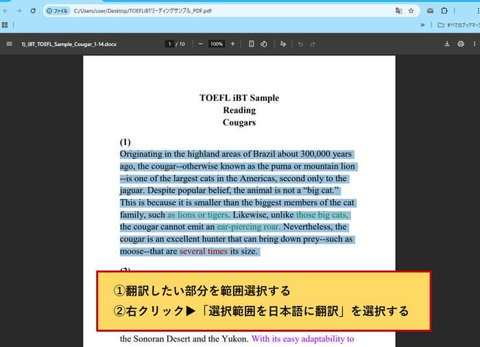 Google ChromeブラウザでPDFを翻訳