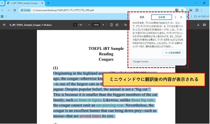 ブラウザでPDFの翻訳内容を確認