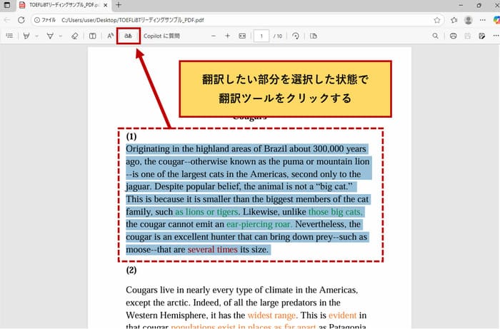 Microsoft EdgeでPDFを翻訳