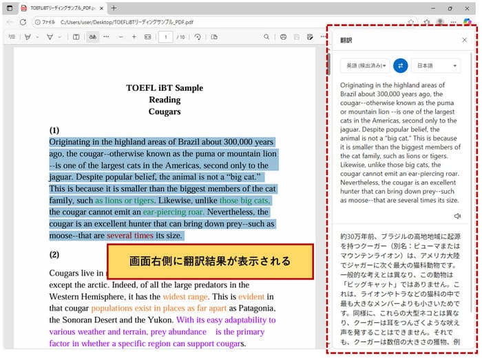 ブラウザでPDFを翻訳