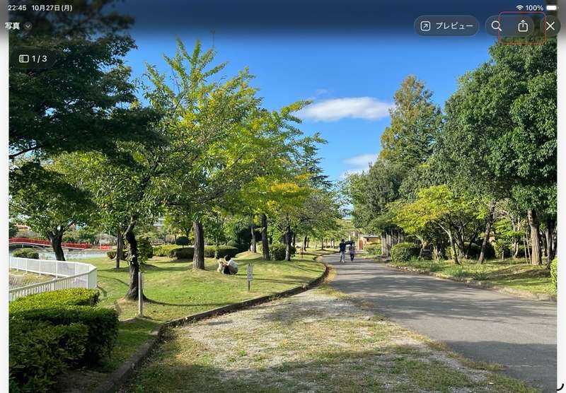 iPadの「プリント」機能によって写真から変換されたPDFを保存