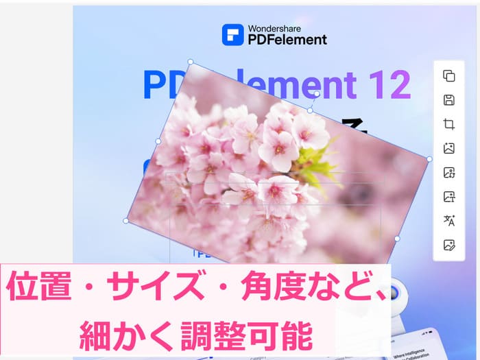 PDFに貼り付け画像の調整