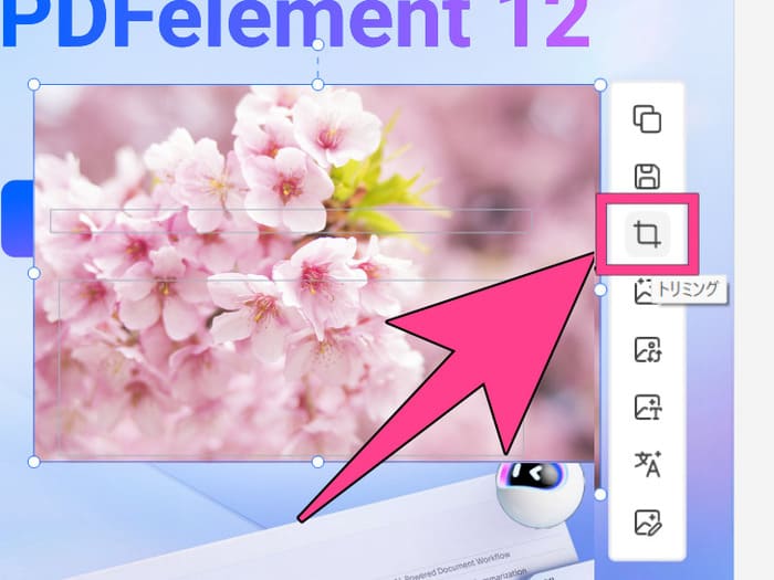 PDFに貼り付けた画像をトリミング