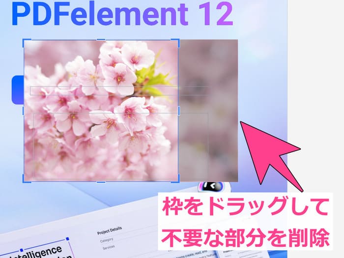 ドラッグアンドドロップすることでpdfに貼り付け画像をトリミング