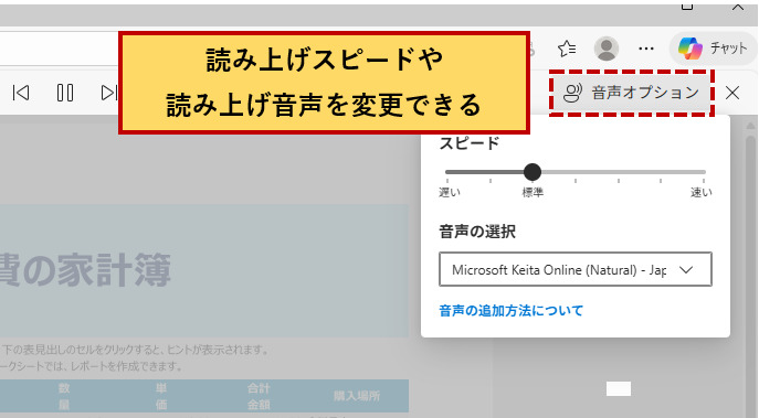 pdf読み上げのスピードと音声を設定