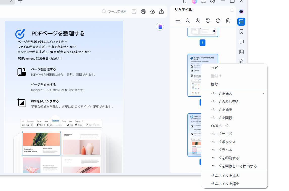 duplicate pages thumbnail