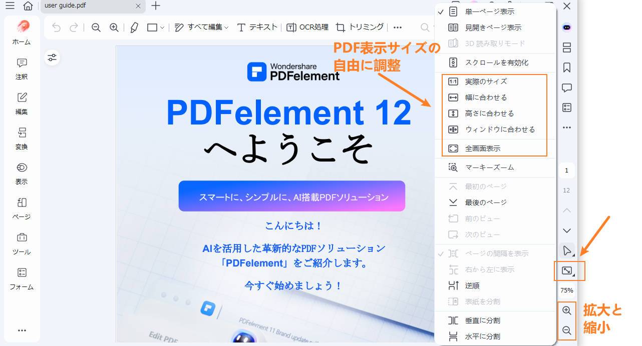 表示サイズの調整