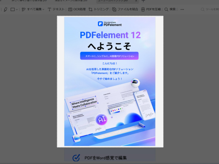 windowsでPDFを画像形式に変更する