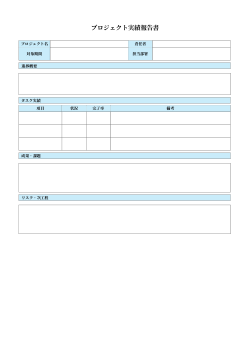 プロジェクト実績報告書