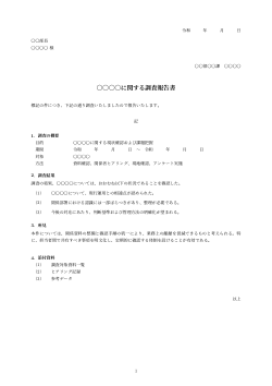 調査報告書（書簡体条文型）