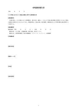 調査報告書（市場調査）