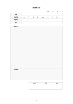 調査報告書（簡易型）