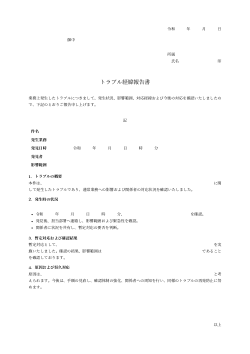 トラブル経緯報告書（正式報告書型）