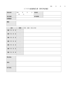 トラブル経緯報告書（時系列詳細型）